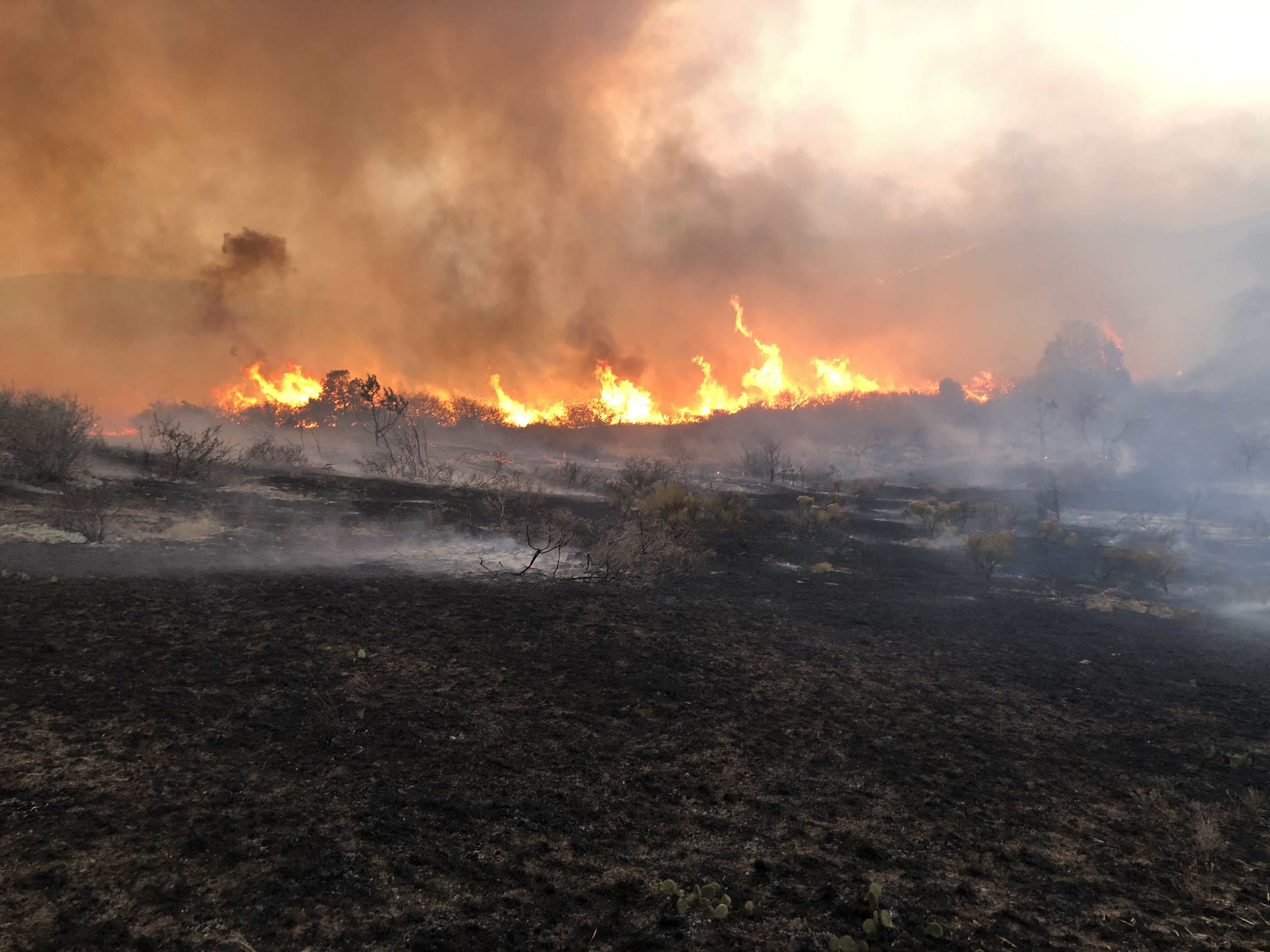 Photo of a wildfire burning across vegetation along the ground. Scorched earth is seen in the foreground, and angry yellow and orange flames reach up from the ground, creating clouds of black smoke which are rising into the sky.  Elsewhere in the air there is a thick gray blanket of smoke, and the scorched ground is smoking as well.