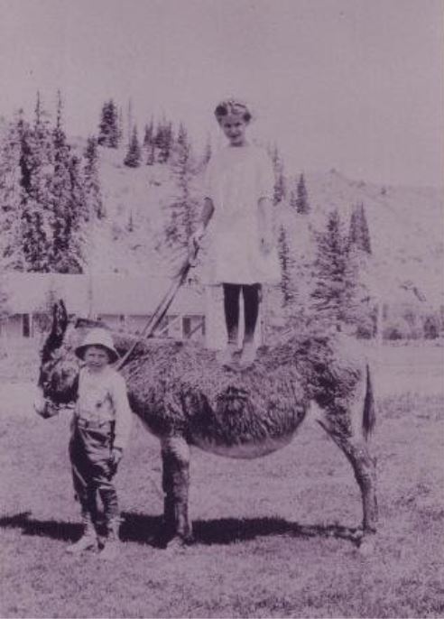 Photo of a young girl, her brother, and their pet burro around 1915. The girl is standing on the back of the burro while the younger boy holds the reins of the burro near its head. The boy is wearing boots, trousers with suspenders, a long sleeve shirt, and a bucket hat. He and his sister are posing for the photo. The girl is wearing her hair up in braids that circle her head, and a light colored dress with boots. They are all standing in a field, with mountains visible behind them.