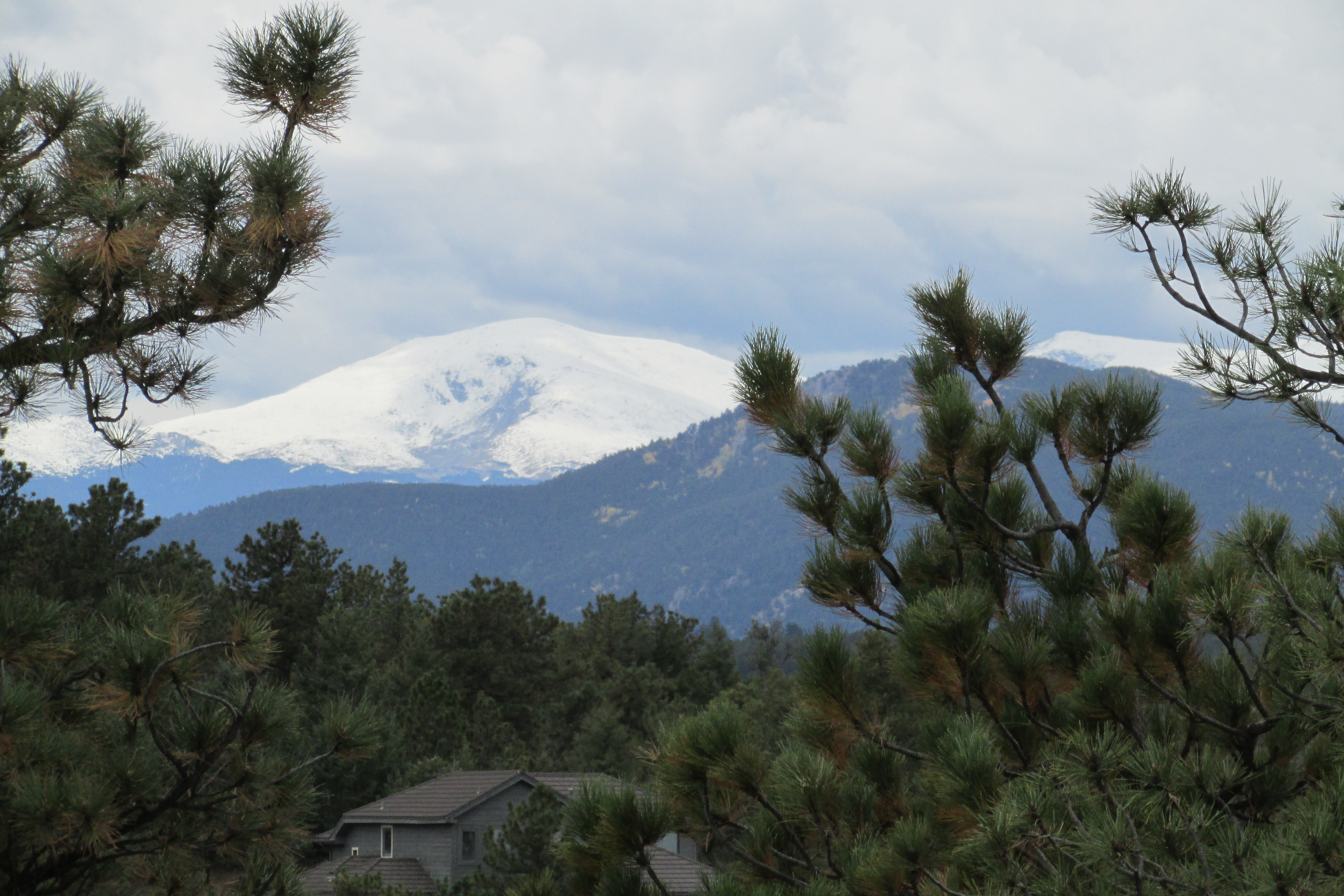 Photo of snow-capped Mount Evans rising up in the distance against a cloudy gray sky, as seen through the trees at the Lookout Mountain Nature Center