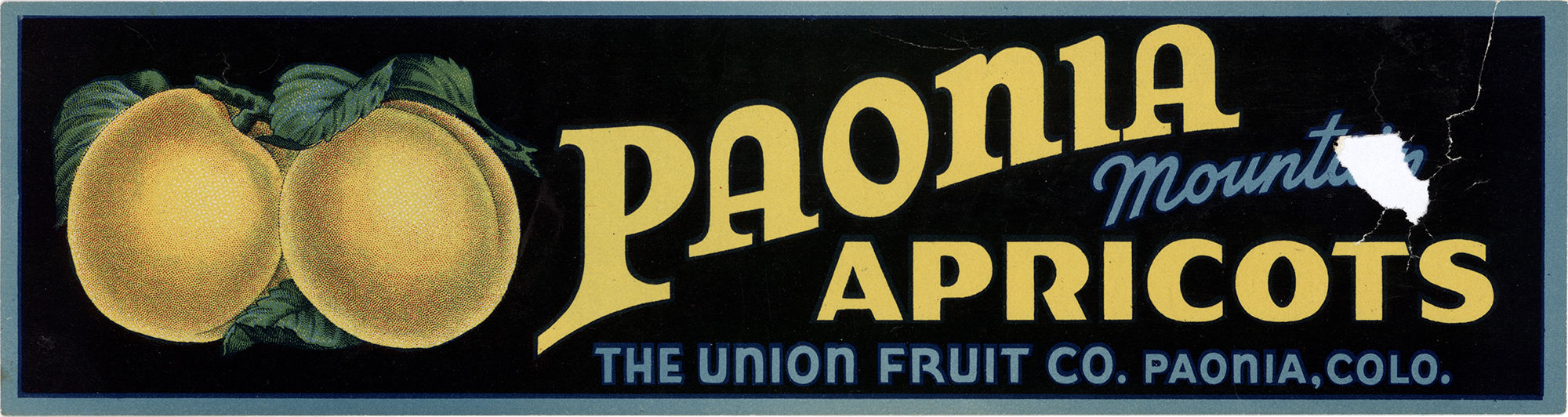 PAONIA MOUNTAIN APRICOTS, THE UNION FRUIT CO., PAONIA, CO.