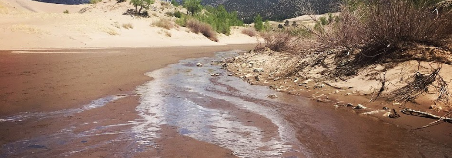 Photo of a small creek running over blonde sand. The the right, the bank contains some small rocks, sticks, and shrubs. To the left of the creek, the sands of the dunes gently rise up toward the left. A few green shrubs dot the banks of the creek. In the background, mountains covered in trees are visible on this sunny, blue-sky day.