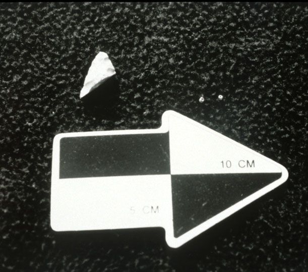 Photo of three artifacts, very small in size, set out on a black mat. A black and white arrow, labeled in 5cm and 10cm marks, demonstrates the sizes of the artifacts. On the left, above the measuring arrow, lies a piece of light colored stone. To the right there are two tiny seed beads.
