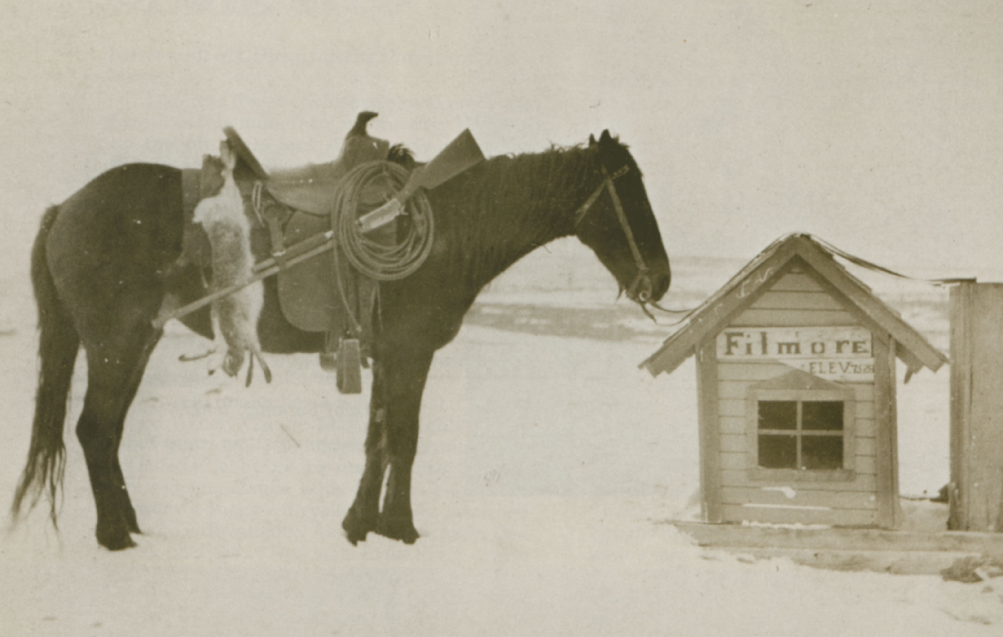 Photo of a horse, wearing a saddle, hitched to a tiny house-like building. The building has siding, a window, and a pitched roof. There is a wooden sign with the words "Filmore Elev. 7525 ft" mounted above the window. The horse appears to be standing in the few inches of snow that have covered the ground, and there is a dead rabbit hanging down alongside the horse, from the back of the saddle. A coiled rope and a rifle are affixed to the right side of the horse's saddle, next to the rabbit.