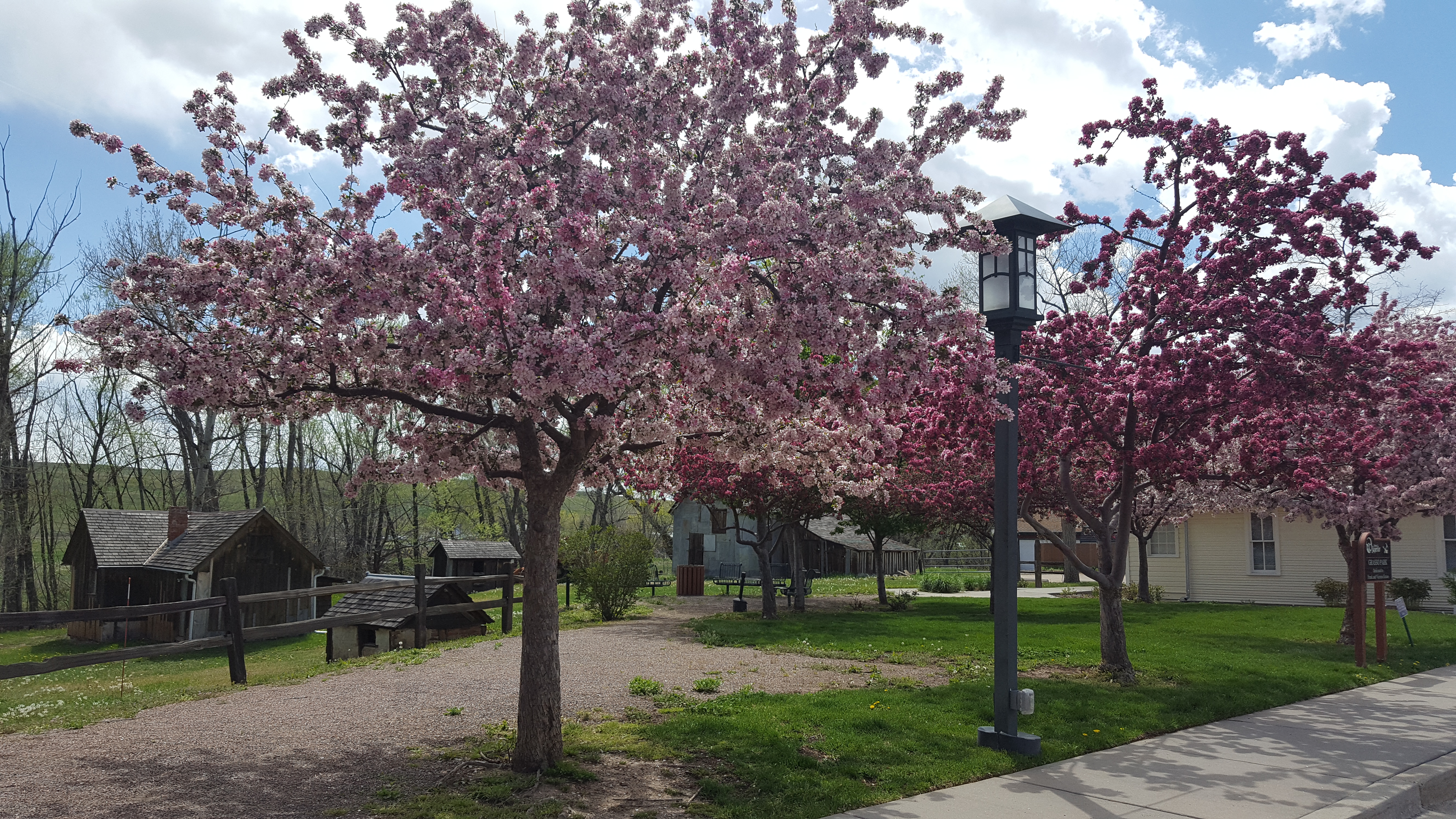 A collection of small buildings among some trees in bloom, in Grasso Park.