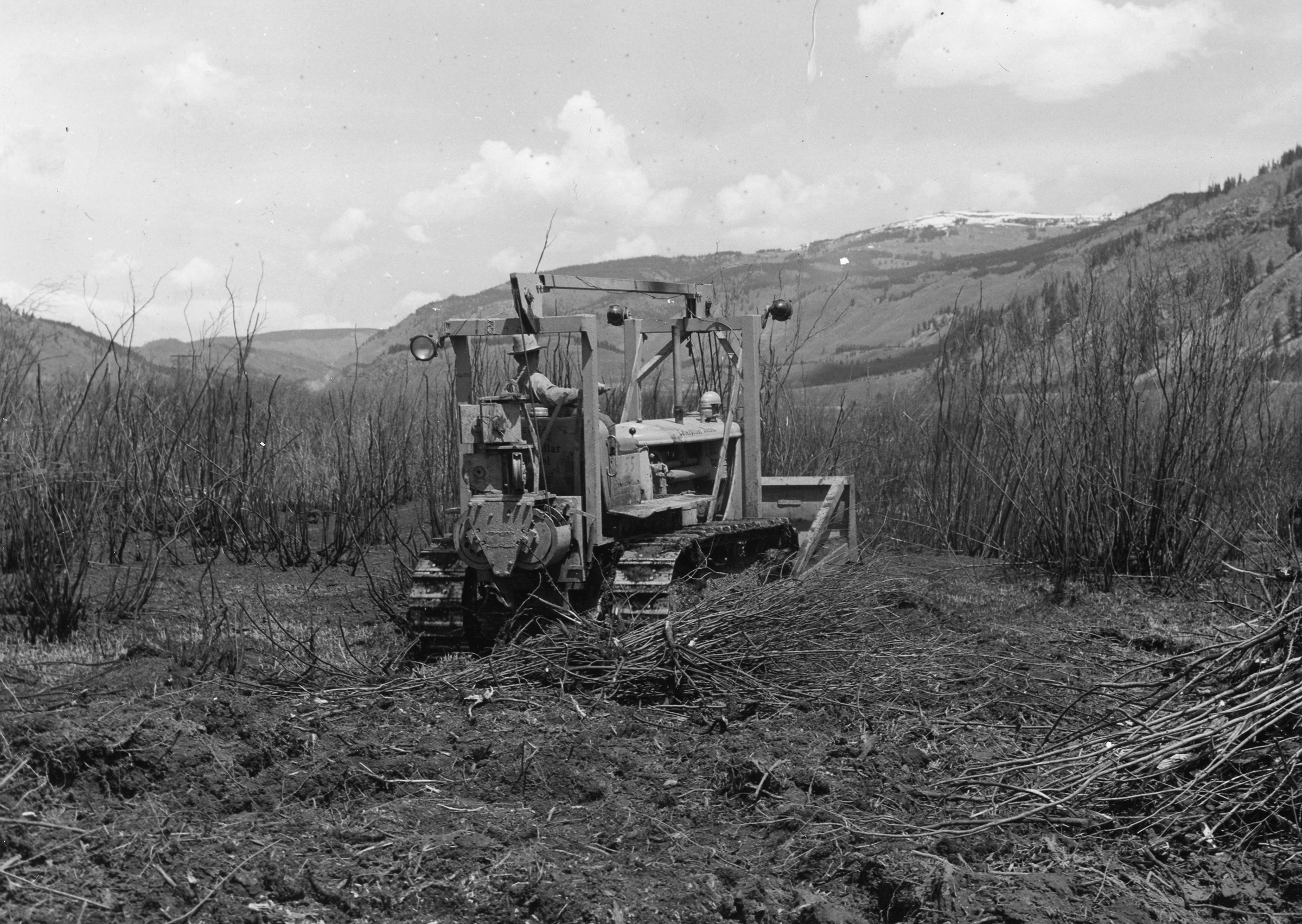 A bulldozer in the Pando valley, clearing foliage.