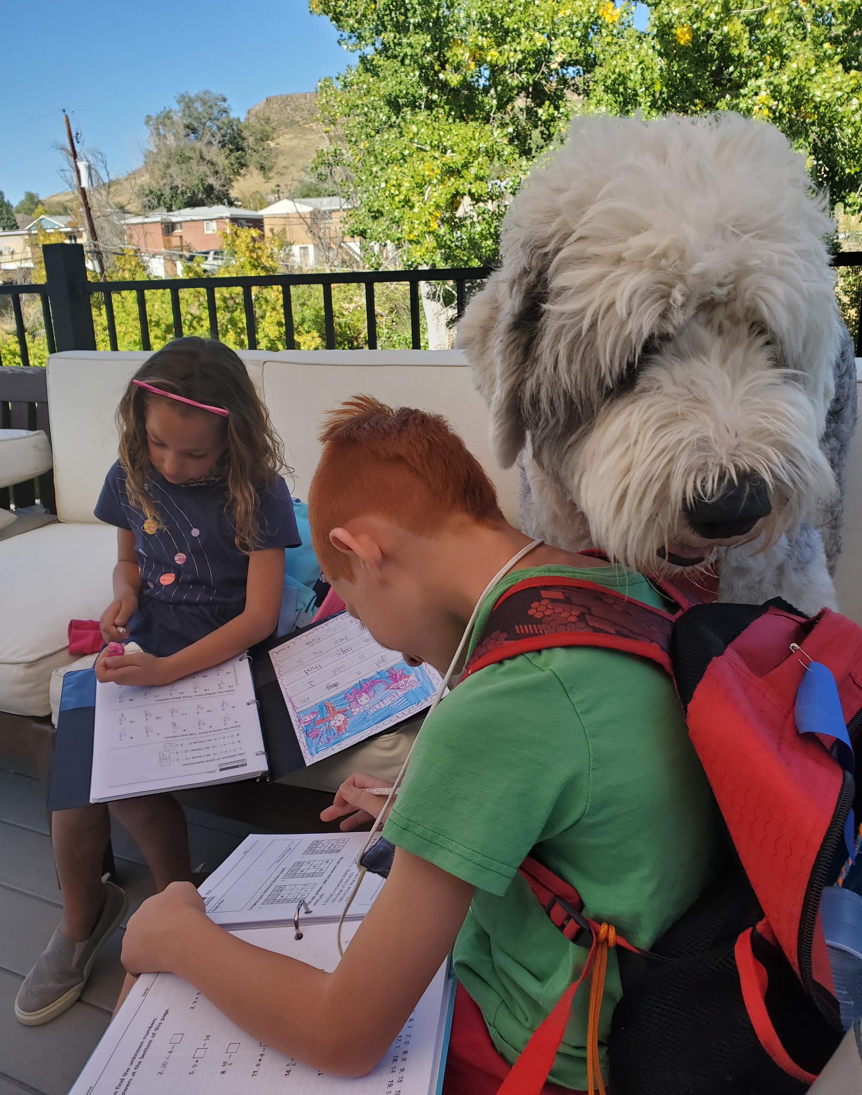Photo of a very large, fluffy white dog who is sitting practically on the lap of a boy trying to  look at his binder and do homework. His sister sits on the chair next to them, doing her homework as well.