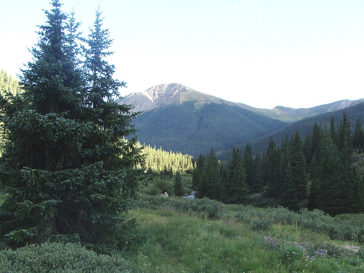 The Sawatch Range in San Isabel National Forest