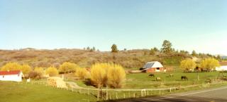 View of the Spring Creek Ranch from the road.