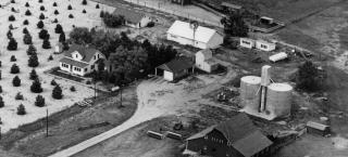 Aerial view over Trautman-Glenn Farm in about 1952.