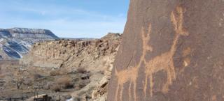Escalante Canyon petroglyphs