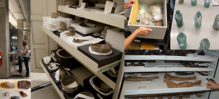 Artifacts and Specimen at Approved Museums and Repositories