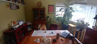 State Archaeologist work station at home