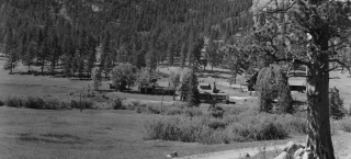 Photo of the McGraw Ranch in the distance, surrounded by large pine trees and mountains. A dirt road winds from the foreground toward the cluster of buildings in the distance.