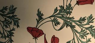 Poppies wallpaper