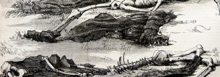 An engraving from Harpers Illustrated, showing an illustration of the skeletons of men murdered by Alferd Pakcer.