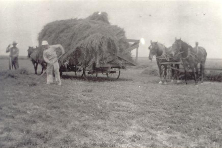 Frank Carnes hauling hay, 1929.