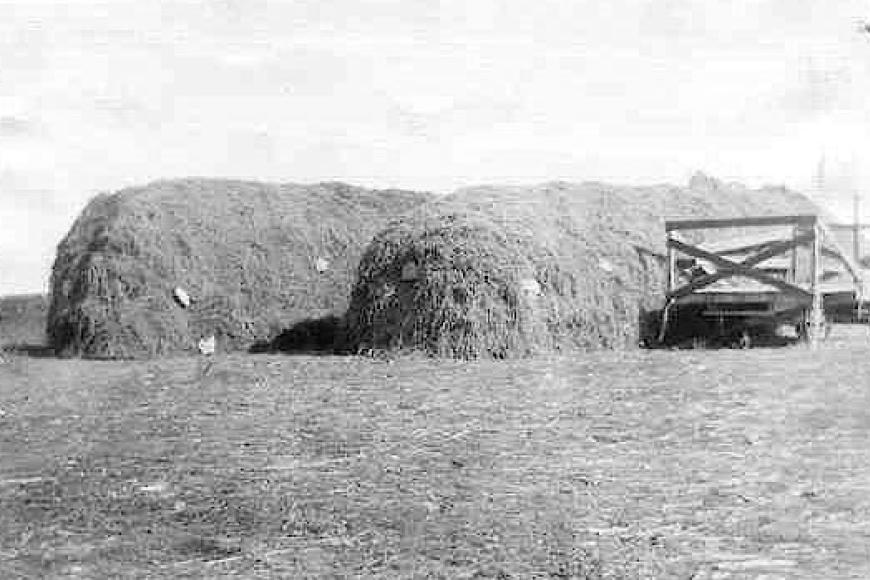 Stacked hay for livestock feed in the winter, early days on Carnes Farm.