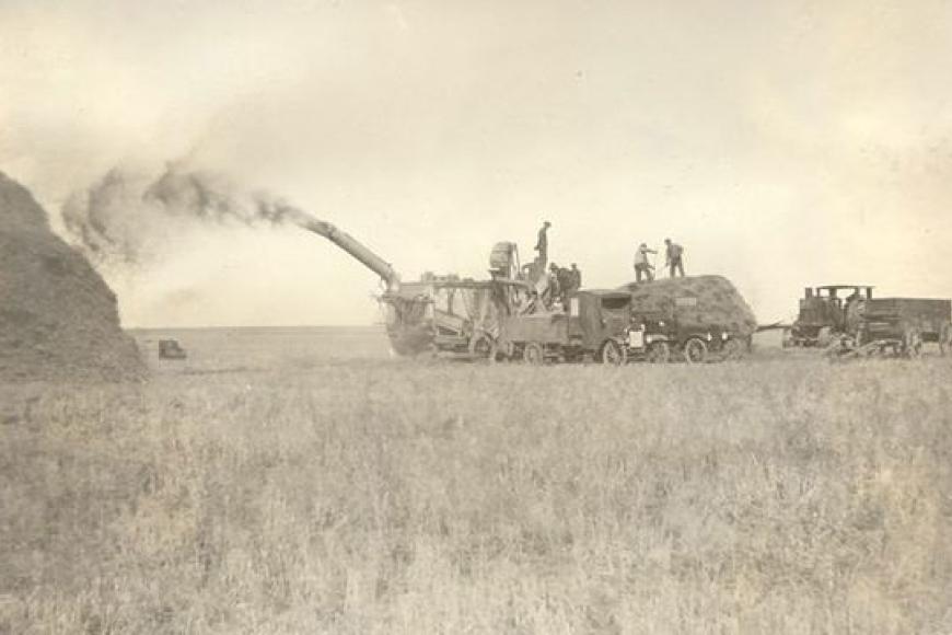 Wheat threshing on the Frank E. Carnes and Evelyn C. Bricker Carnes Farm, 1920s.