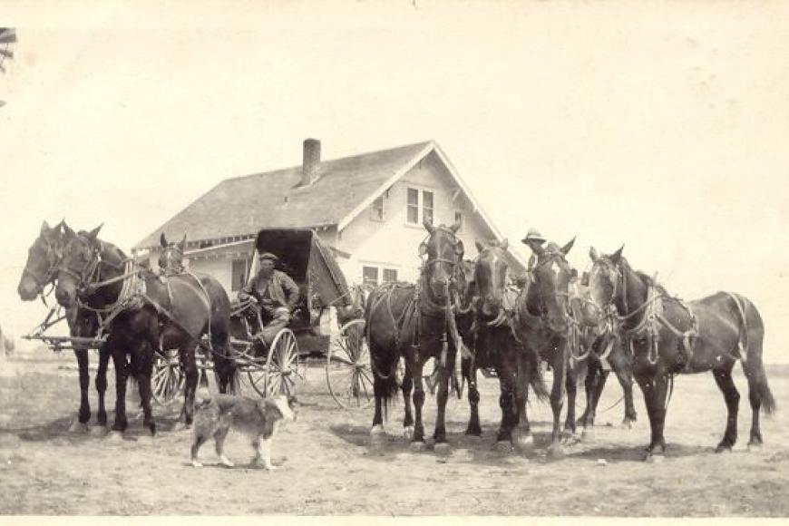Frank and Clarence Carnes with horses, about 1919.