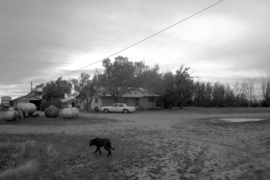 An atmospheric black-and-white photo of the Fulbright Family Farm in 2017 showing the house and outbuildings with the dog, Cruiser, in the foreground.