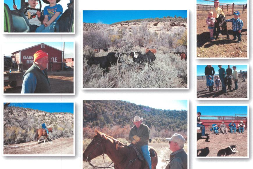 A collage of pictures showing activities on the Garvey Brothers ranch.