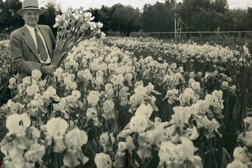 J.D. Long with irises in the 1940s.