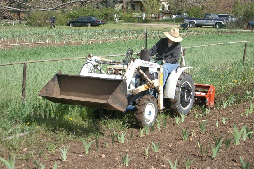 Cathering Long on a tractor with newly planted irises, 2005.