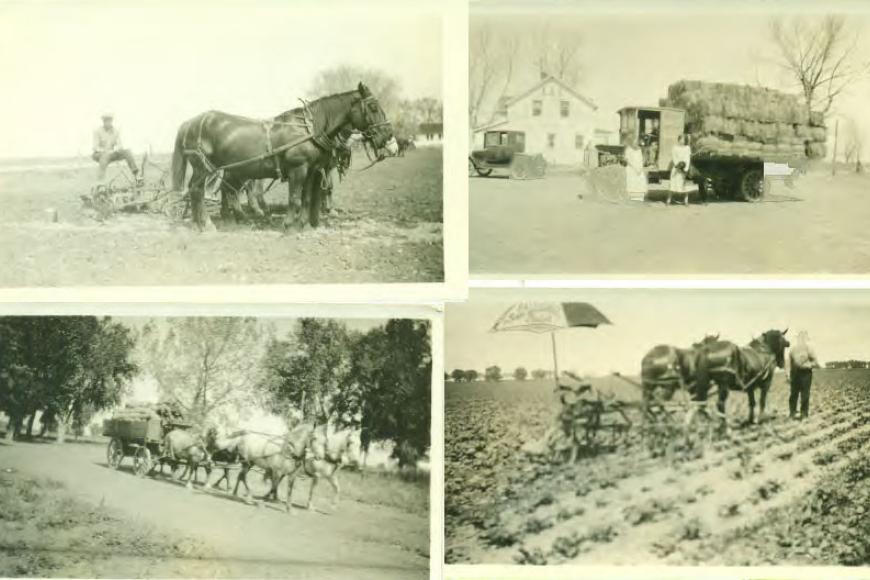 A quartet of historic photos showing farming practices on the Muhme Farm.