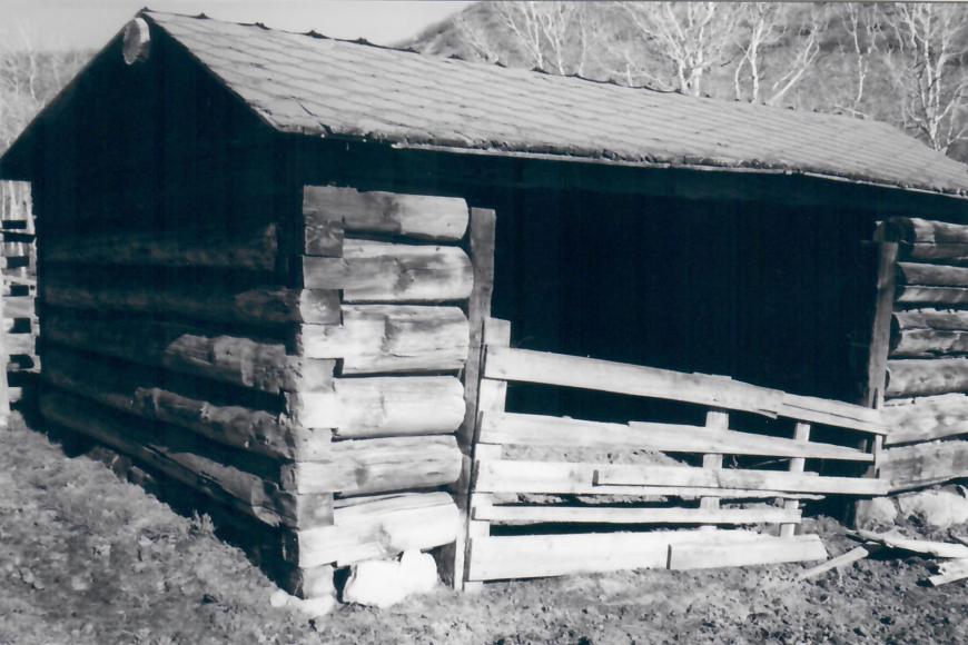 Log building used as a hay and cattle shed.
