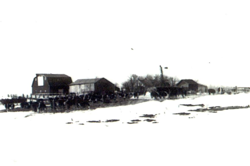 Historic photo of the Stanley and Carol Shafer farm. 