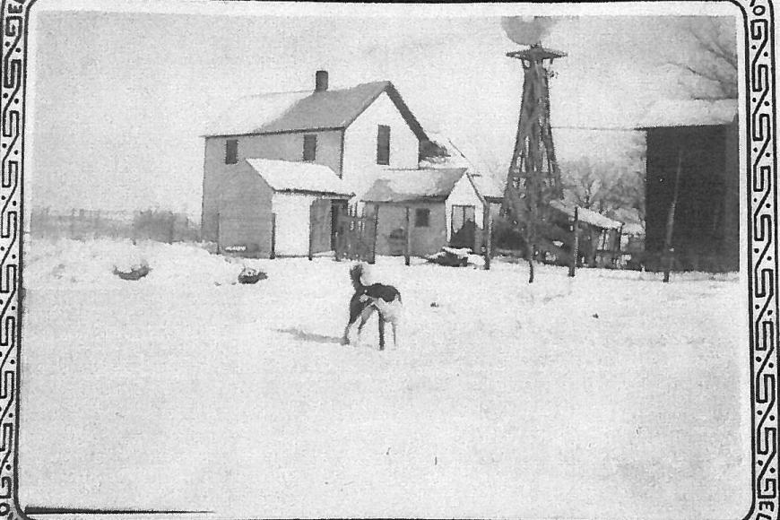 An historic black and white photograph of a dog in front of a farmhouse and windmill.
