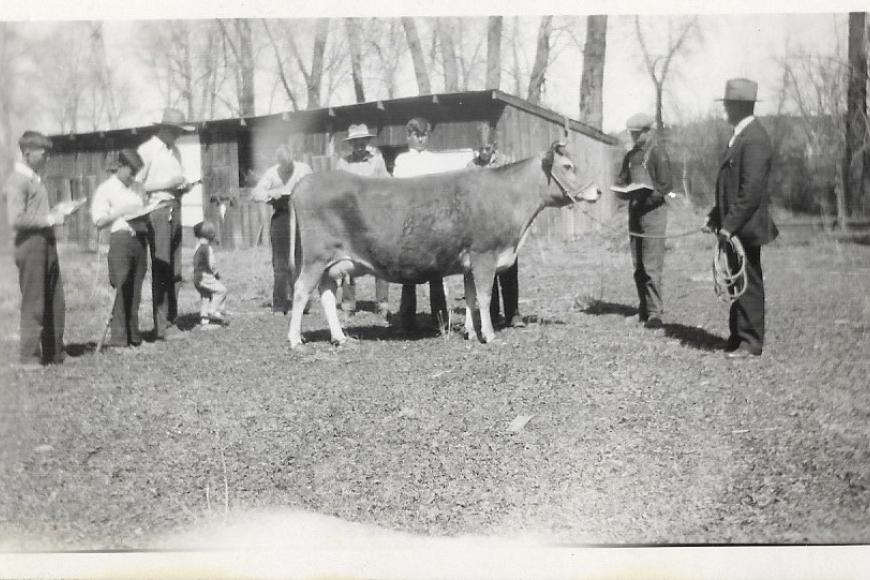 Farmers pose with a cow in a black and white photo