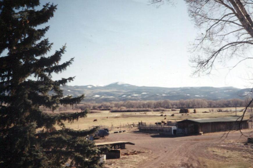 A 1990 view across the Knoblauch Ranch, showing the mountains in the background and a horse barn in the foreground.
