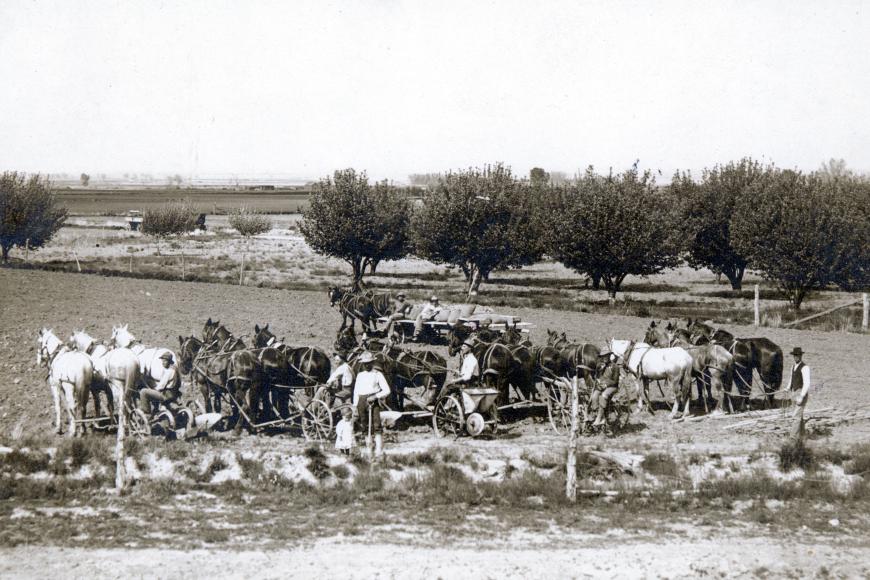 Teams of horses and equipment with Carl and Harold Westesen in the foreground, 1912.