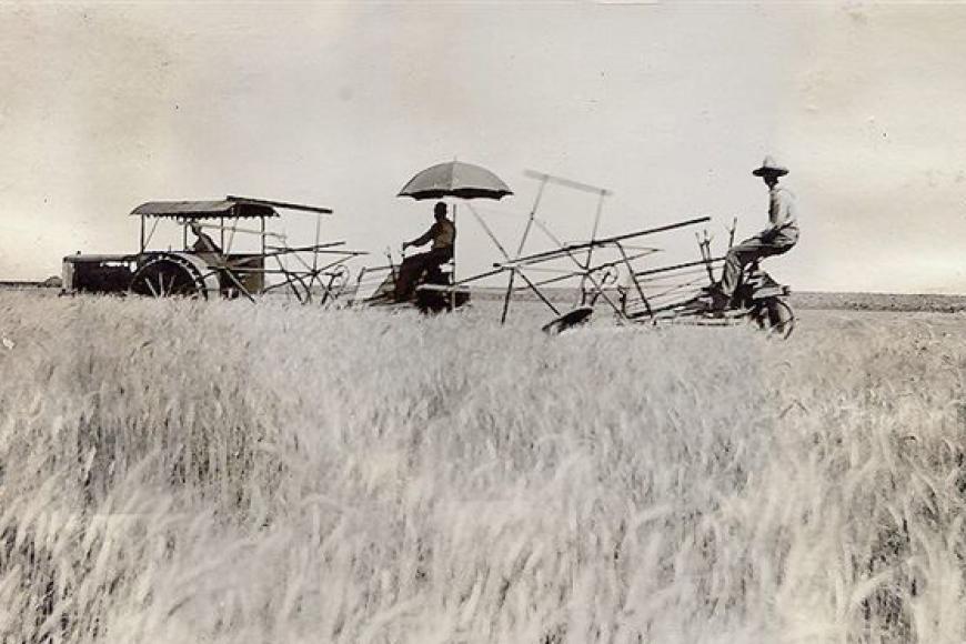 Binding wheat in a historic photo from the Frank E. Carnes and Evelyn C. Bricker Carnes Farm