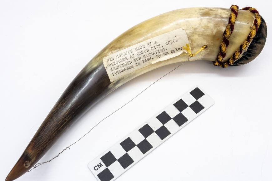A bison horn with a pincushion at the base. The label reads "Pin Cushion Made by a Prisoner at Canon City, Colo. Sentenced for Maneating."