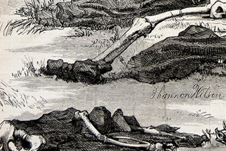 An engraving from Harpers Illustrated, showing an illustration of the skeletons of men murdered by Alferd Pakcer.