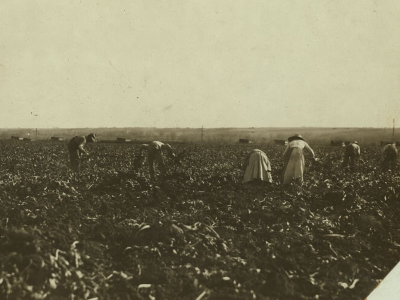 Photo of farmland that is being worked by several men and women. While the people are in the distance, they are all seen wearing hats, and the women wear longer skirts while the men are wearing trousers and shirts. The crops are lower to the ground, so the workers are all bending over to reach them. The landscape is wide open, with no trees in sight, and a vast plain reaching out in the distance to the horizon. Only a few small buildings (or possibly farm trucks) are visible far off in the distance.