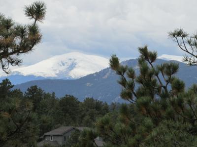 Photo of snow-capped Mount Evans rising up in the distance against a cloudy gray sky, as seen through the trees at the Lookout Mountain Nature Center