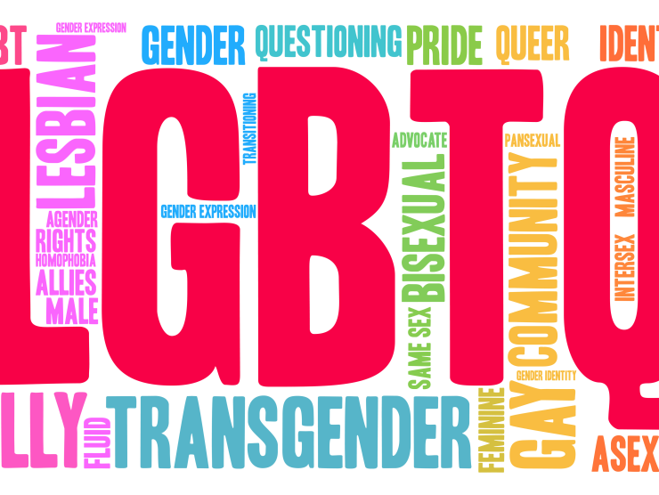 LGBTQ Terms