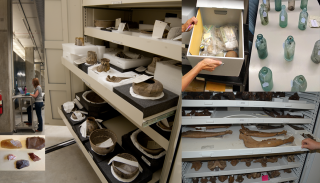 Artifacts and Specimen at Approved Museums and Repositories