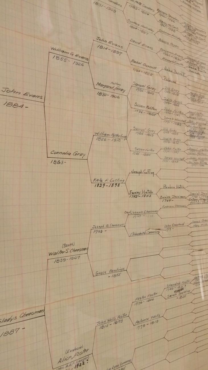 A historical chart of names branching to the right. 