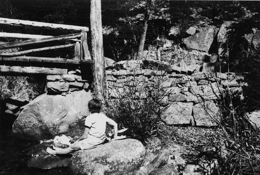 Black and white image of a visitor sitting along Fern Trail. 