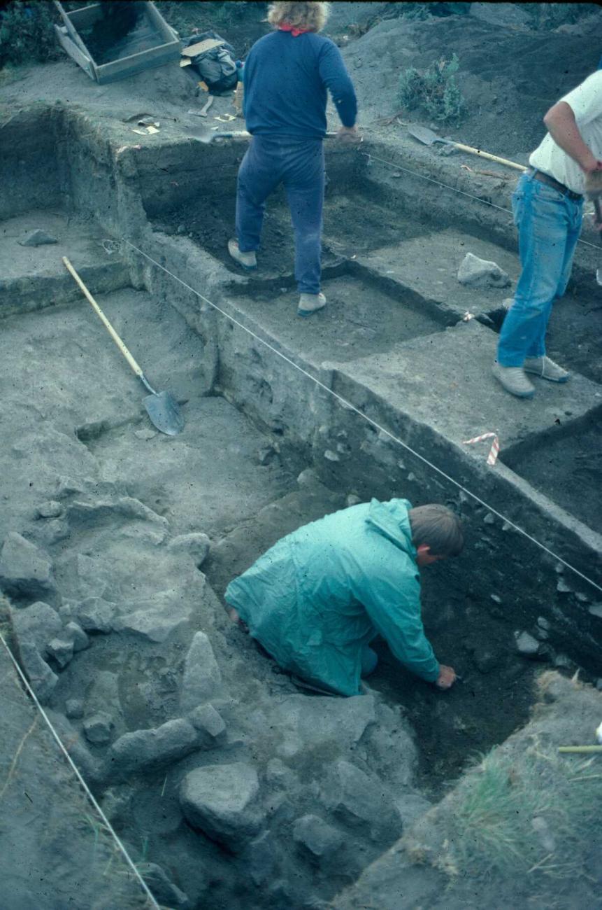 Archaeologists excavating a block of units at a site.