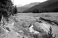 A black and white photo of the trail next to a field and body of water with sloping evergreen trees on the side and rolling mountains in the background. 