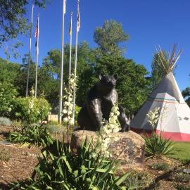 The grounds of the Ute Indian Museum. A tipi is visible in the background, along with several trees and flagpoles. In the foreground are smaller plants, as well as a metallic statue of a mother bear and cub.